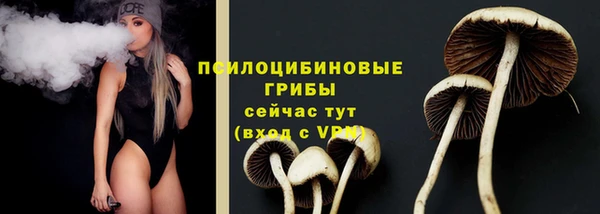 эйфоретик Алзамай