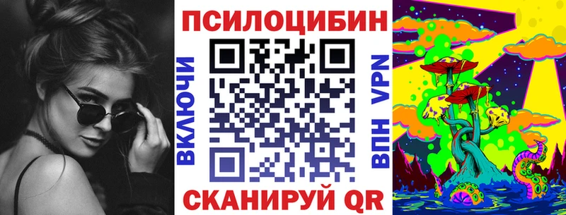 как найти закладки  Муром  Псилоцибиновые грибы Psilocybe 